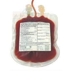 Blood Bank System